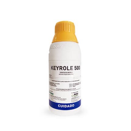 Keyrole 500
