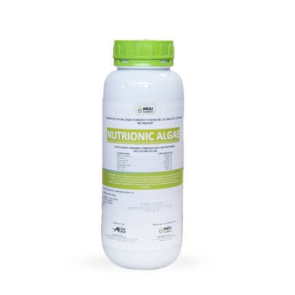 Nutrionic Algae
